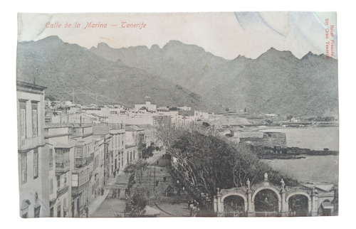 España Tenerife Calle De La Marina Antigua Postal