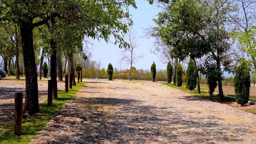 Terreno En Venta En San Miguel De Allende | Exclusividad Y Naturaleza