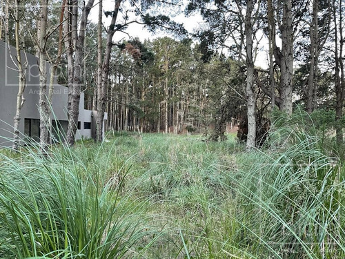 Imagen 3 de 6 de Lote En Venta Costa Esmeralda Arbolado Y Fondo Libre Único
