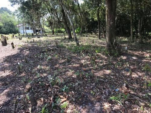 Imagem 6 de 7 de Ótimo Terreno De Chácara No Litoral, Analisa Carro!! - 4588