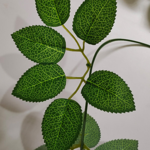 Enredadera De Flor De Ratán De Hoja De Rosa De Navidad