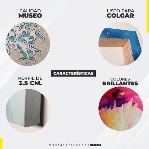 Imagen 6 de 7 de Cuadro Retrato Rostro De Mujer Arte Moderno Con Marco Dorado