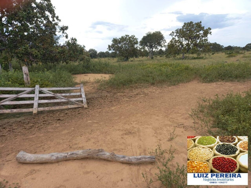 Imagem 12 de 15 de Fazenda À Venda Em Marianópolis - To - De 429 Alqueirão (dupla Aptidão) - 1682
