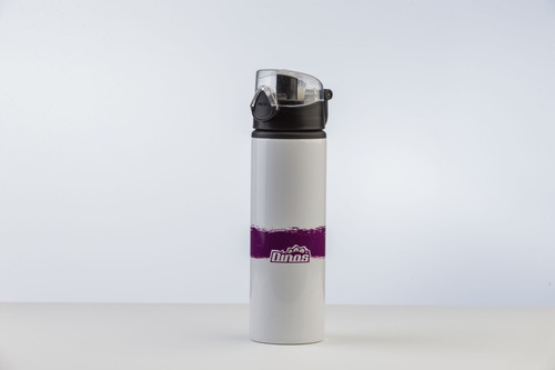 Imagen 2 de 4 de Termo Dinos Lfa 600 Ml