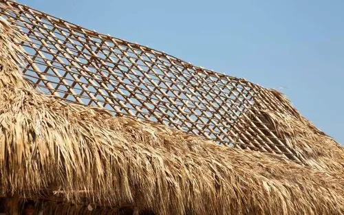 Palma Amarga Kioscos Maloca Fincas Islas Playa Vendi Aguja