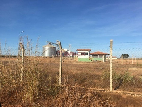 Imagem 10 de 11 de Fazenda Para Soja + Pivô Em Santa Rosa ,tocantins, Com 945 Hectares . - Fa00045 - 70338076