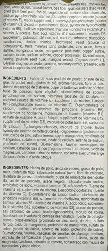 Royal Canin Kitten Persa Raza Alimentos Secos, 3 Lb.