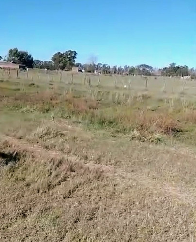 Imagen 3 de 4 de Lote En Venta Ubicado En Cañuelas