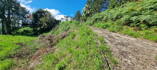 Gran Lote De Terreno En Urbanización Cerrada