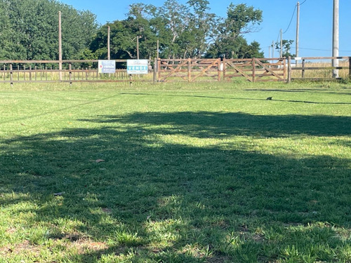 Chacras En Venta De 3 Hectáreas, Zona Rural.