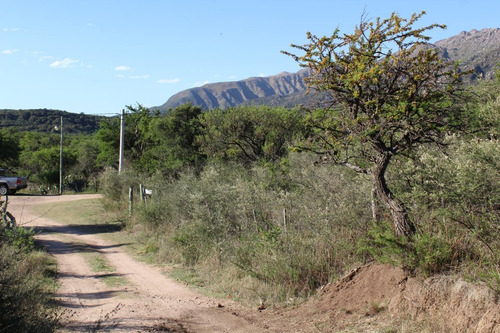 Imagen 4 de 14 de Venta De Lotes En San Miguel Cortaderas Barrio La Martita