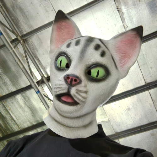 Máscara De Cabeza De Gato De Halloween, Divertida Y Linda Má