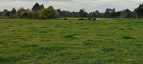 Imagen 5 de 11 de Se Vende Terreno Agrícola 1,5 Ha Quema Del Buey, Puyehue,
