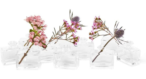 Jarrones De Flores De Vidrio Transparente De Cebollina \loft