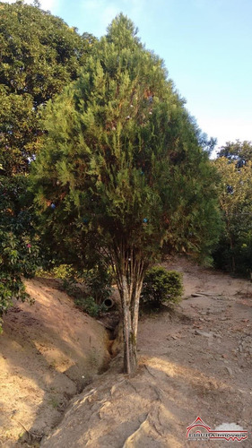 Chácara 7.890 M² Jacareí Sp - 7523