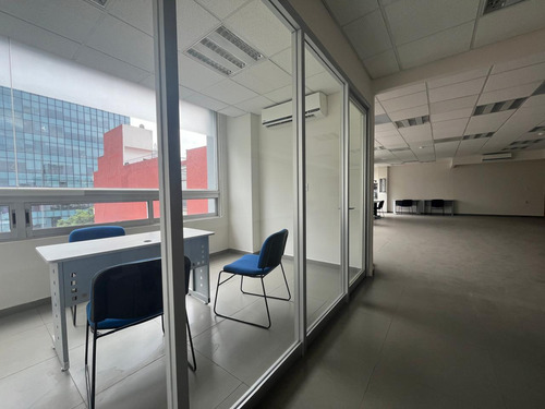 Oficina En Renta- Hamburgo - Piso 5 - 185m2