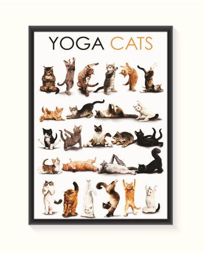 Pôster Yoga Cats - Grande