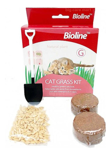 Kit Completo Pasto Para Gatos, Hierba Gatera Bioline - Ar