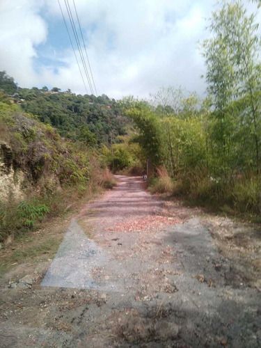 Imagen 8 de 11 de Se Vende Terreno 1000m2 Oripoto Municipio Hatillo