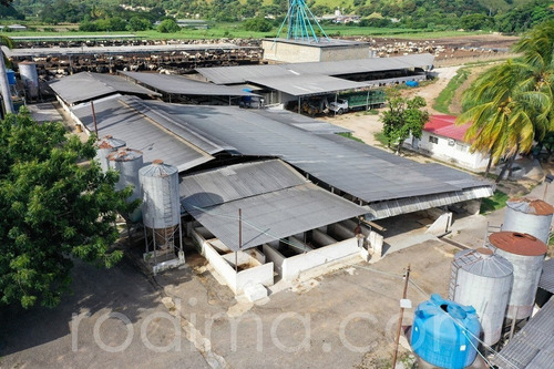 Imagen 7 de 29 de Granja Agrícola Y Porcina Turmero, De 5.7 Hectáreas 04123465023