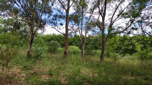 Venta Chacra 1 Ha, Arbolado Manzanares, Pilar