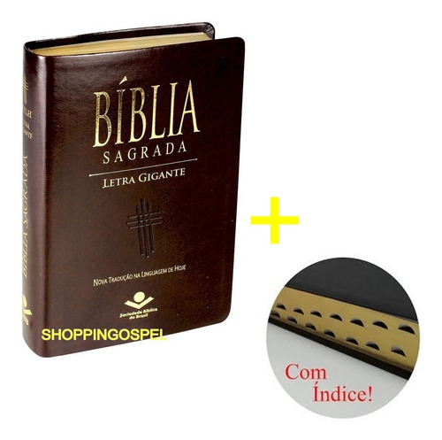 Bíblia Sagrada Letra Gigante Ntlh Luxo Marrom + Indice