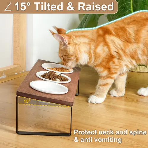 Sunhoo Cuenco Elevado Para Agua Y Comida Para Gatos, Juego .