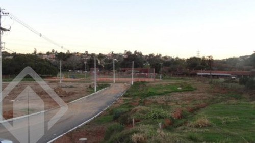 Imagem 7 de 8 de Terreno - Protasio Alves - Ref: 109917 - V-109917