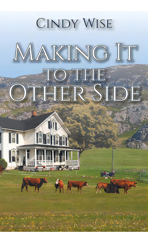 Making It To The Other Side, De Wise, Cindy. Editorial Christian Faith Pub Inc, Tapa Blanda En Inglés