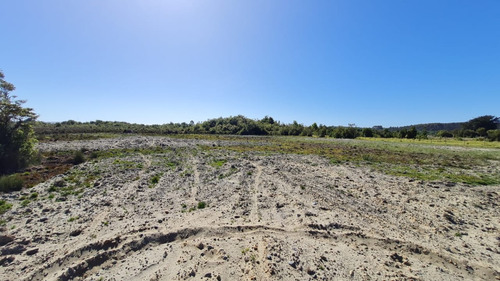 Parcela 10.000 M2 (1 Hectárea) - La Pasada - Maullín