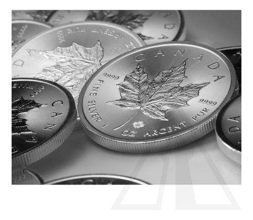 Canada Maple Leaf Hoja Arce Elizabeth Moneda Plata 2023 Onza