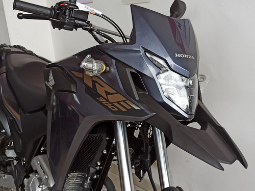 Imagen 6 de 20 de Honda Xre300