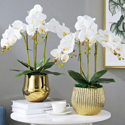 10 Unidades De Hojas Artificiales De Orquídea Phalaenopsis