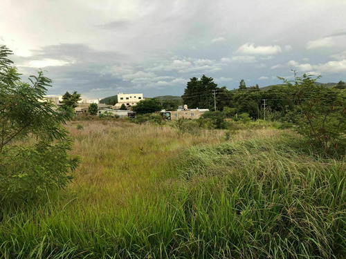 Terreno En Renta En Comitan