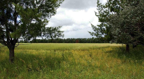 Terreno En Venta En La Cañada City Bell - Alberto Dacal Propiedades