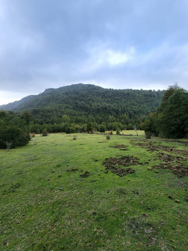 Lindo Campo Con Laguna Natural En Llanada Grande