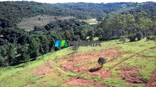 Imagem 11 de 15 de Fazenda - Zona Rural - Ref: 5459 - V-mta5459