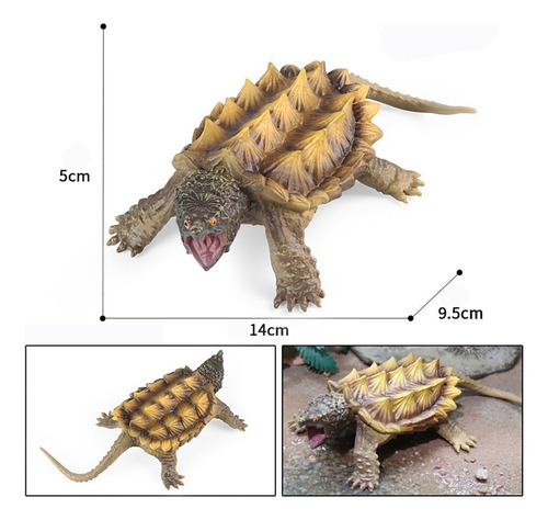 Modelos De Tortuga Caimán Marino Simulación Wildlife-