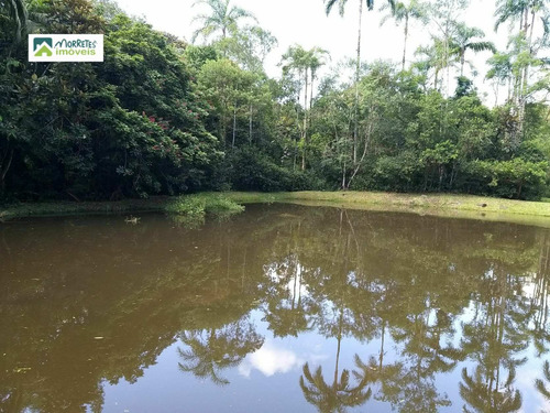 Imagem 13 de 24 de Chácara À Venda No Bairro América De Cima - Morretes/pr - 269