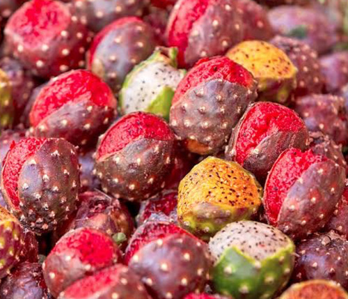 Semilla De Pitaya (cactus) 100 Semillas X $250.00 Pesos
