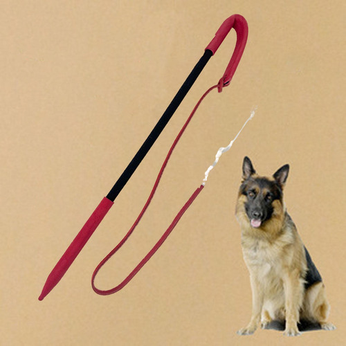 Entrenamiento De Perros Látigo Avanzado De Rojo Negro