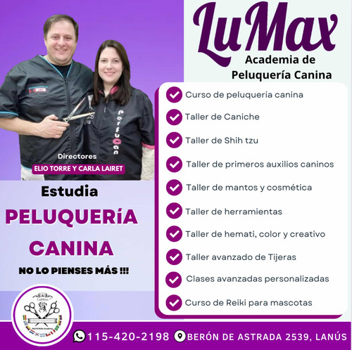 Curso De Peluqueria Canina