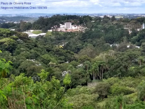 Imagem 13 de 22 de Terreno - Te00049 - 69287773
