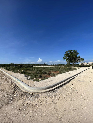 Solares Desde 250 Metros En Adelante En Caleta, La Romana