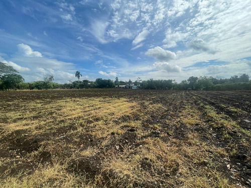 Amplio Terreno De Aproximadamente 10,000 Metros Cuadrados, Oportunidad Única Para Inversión