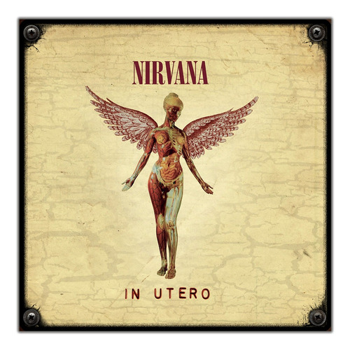 #16 - Cuadro Decorativo Vintage / Nirvana - In Utero!