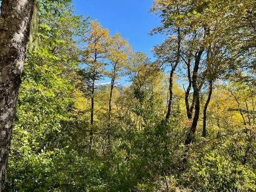 Precio Increible Cercano Pucon Hermosas Parcelas De Montaña