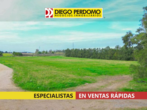 Predio De 15000m² En Venta, Montevideo.
