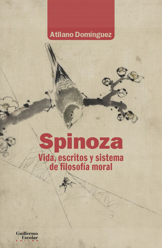 Spinoza, Atilano Domínguez, Escolar Y Mayo