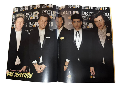 One Direction - Guía Para Los Más Fans